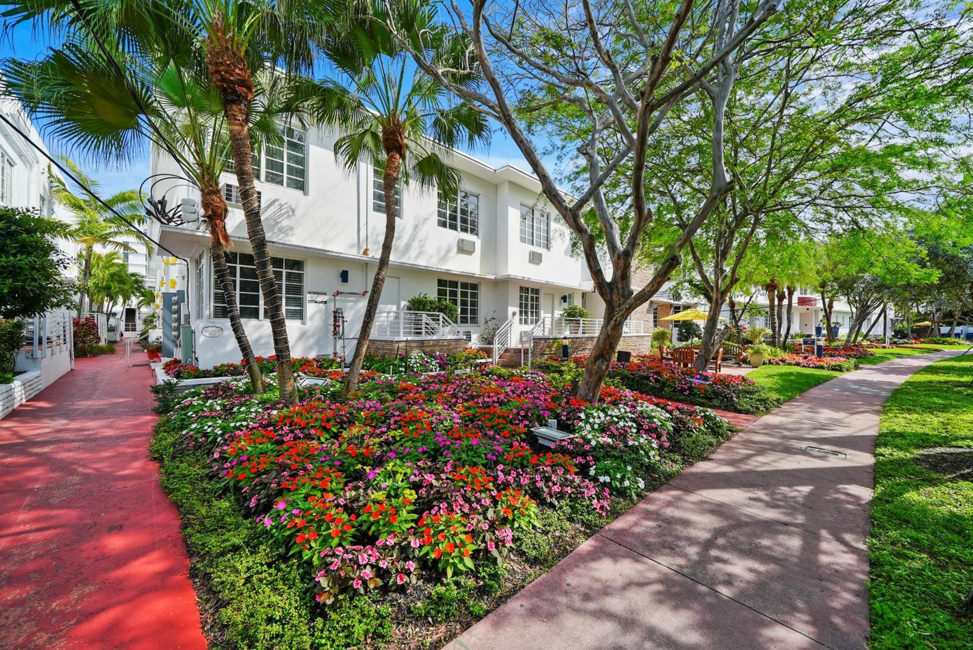 Tradewinds Y Miami Beach